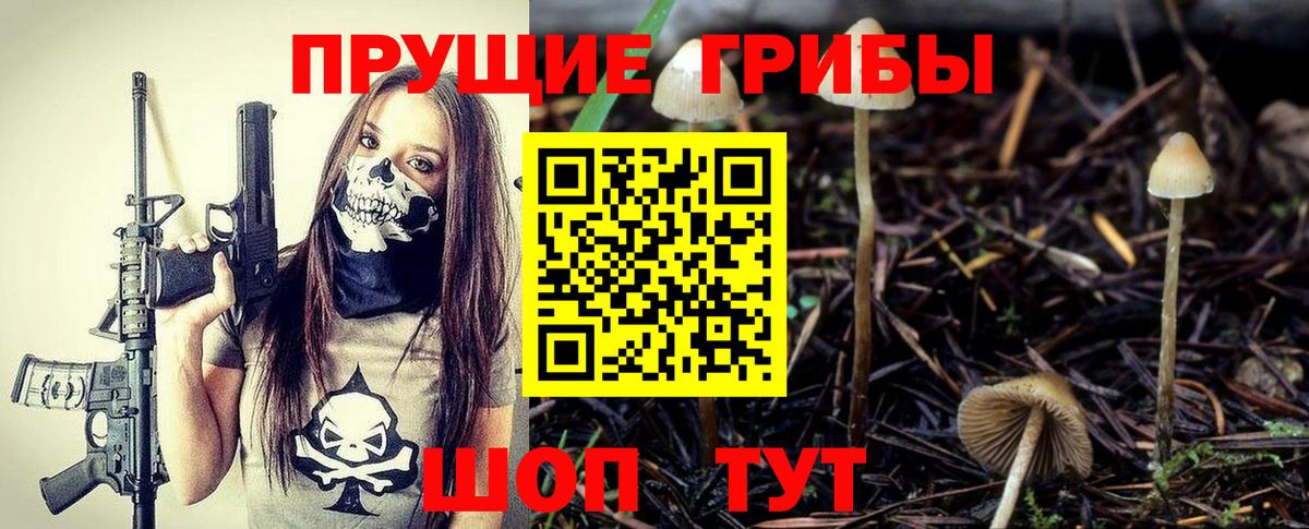 Псилоцибиновые грибы Psilocybe Нижнекамск