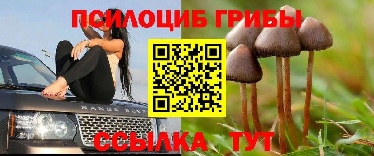 Галлюциногенные грибы MAGIC MUSHROOMS  Вход с VPN  Галлюциногенные грибы MAGIC MUSHROOMS  Нижнекамск 